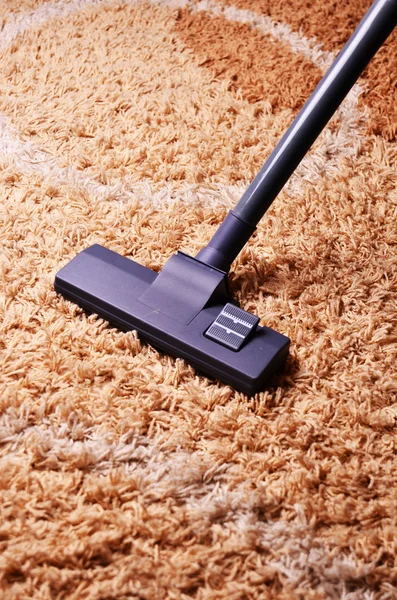 Area Rug Cleaning