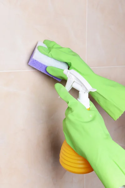 Tile & Grout Cleaning
